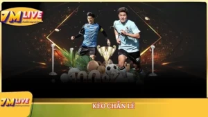 Kèo chẵn lẻ