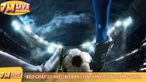 Kèo chấp 2.5: Hiểu rõ bản chất, tính cược thắng thua 9 Kèo chấp 2.5