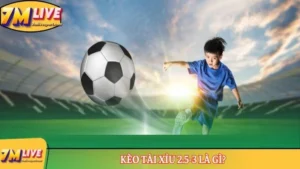 Kèo Tài Xỉu 2.5-3 là gì? Những thông tin cơ bản nhất về kèo 2 kèo tài xỉu 2.5-3 là gì