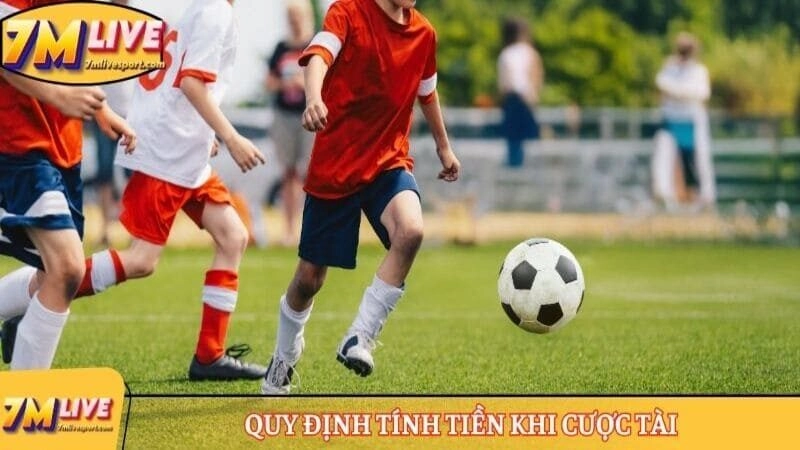 Kèo tài xỉu 2 1/2 là sao? Thông tin chi tiết về tỷ lệ cược 9 Quy định tính tiền khi cược Tài